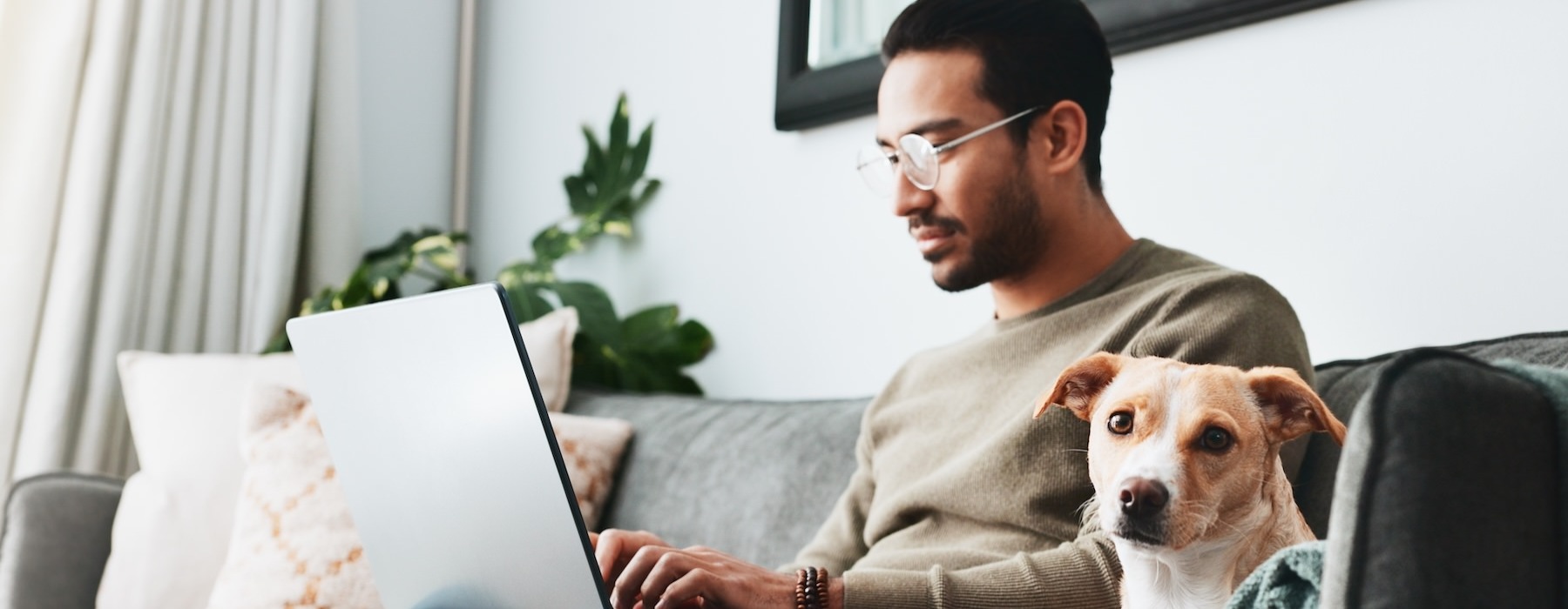 a person working on a laptop sitting next to a dog on a couch