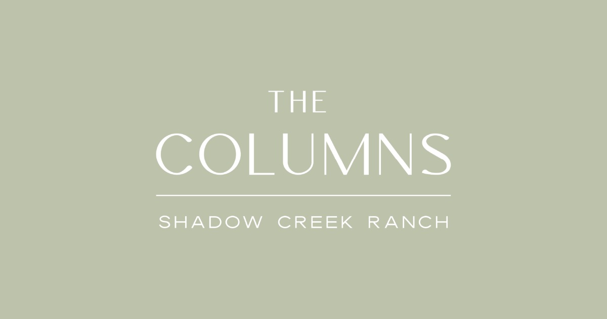 2 Bedroom Apartment – 12325 Shadow Creek Pkwy #12306, Pearland, TX